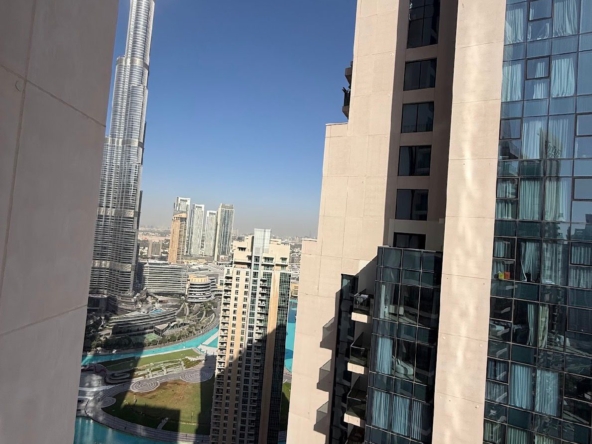 WhatsApp Image 2026 02 03 at 12.36.00 PM